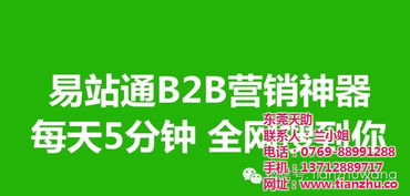 東莞天助網絡推廣策略 實現霸屏效果的全方位指南