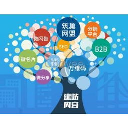 西安網站建設與網絡營銷 一站式數字解決方案專家