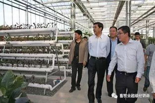 畜牧業(yè)超級經(jīng)銷商商學(xué)院第三期招生開啟 賦能飼料銷售新未來