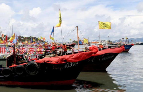 第十八屆南海陽江開漁節(jié)隆重舉行，全省漁船揚帆起航，畜牧漁業(yè)飼料銷售迎來新機遇