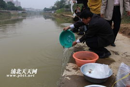 生態(tài)修復(fù)，漁業(yè)振興——浦北縣水產(chǎn)畜牧獸醫(yī)局成功舉辦漁業(yè)資源人工增殖放流活動