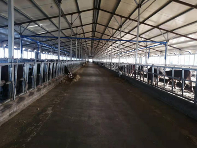 雙鴨山市 龍頭帶動，牛業(yè)起航，畜牧漁業(yè)飼料銷售新篇章